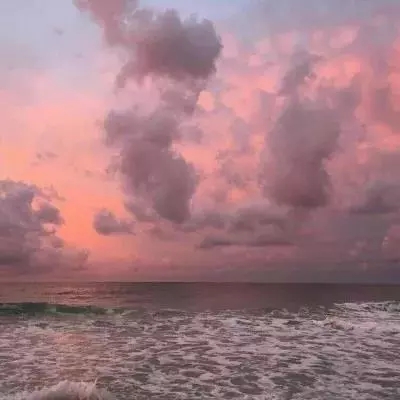 九游会agapp下载