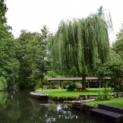 博鱼·体育中国入口